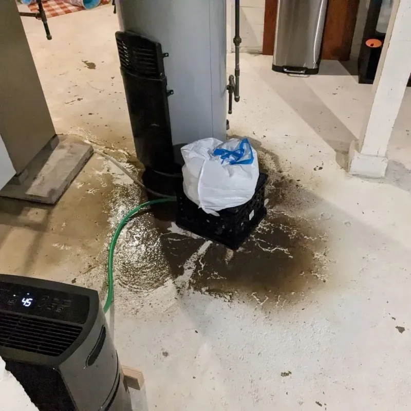 Sewage Backup Cleanup Service in Morgans Point Resort, TX
